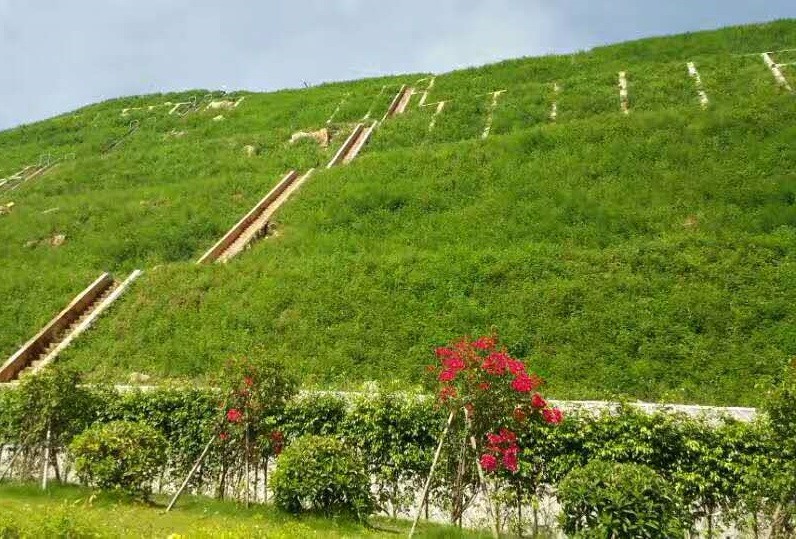 路基邊坡坡度對邊坡綠化工程的影響